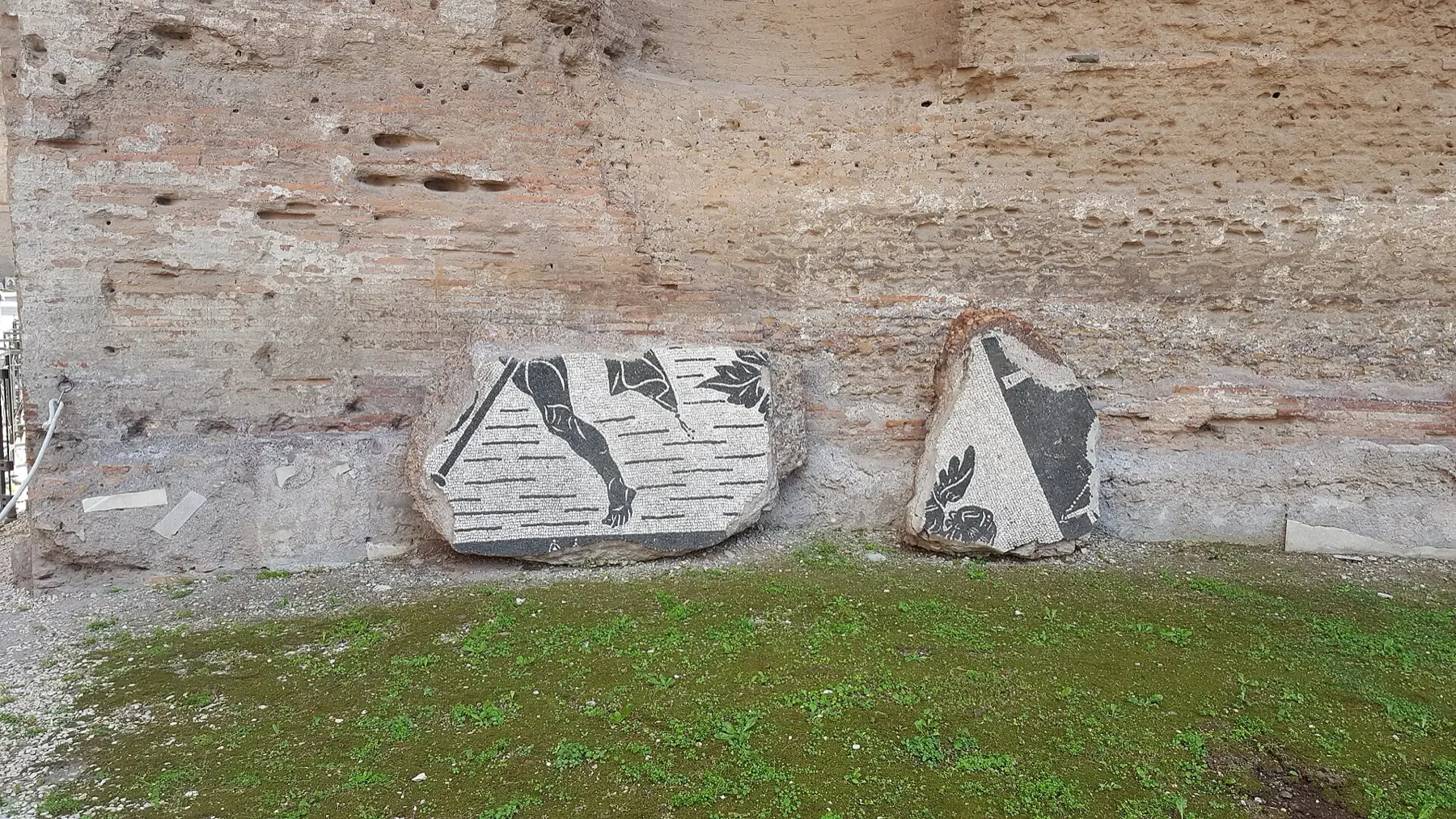 Fragments of black-and-white floor mosaic